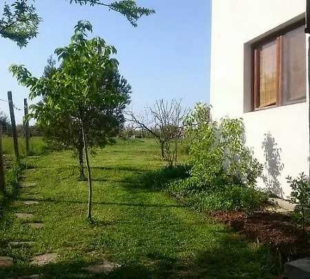 Aliva Tsarevo