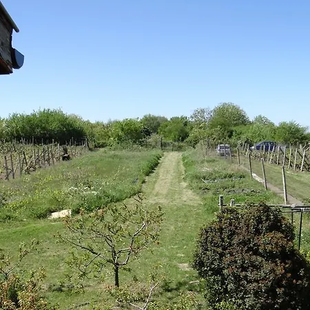 Hébergement de vacances Aliva Tsarévo