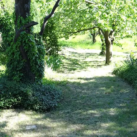Hébergement de vacances Aliva *