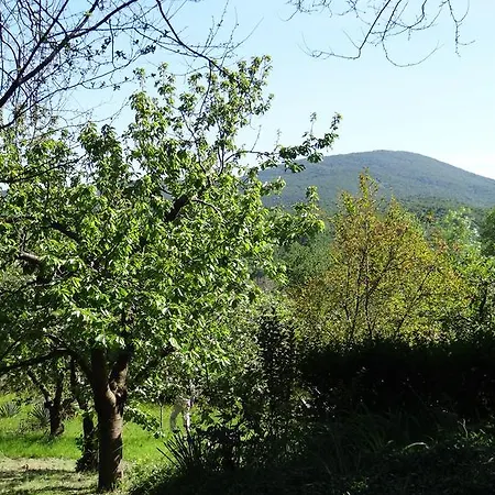 Aliva Hébergement de vacances Tsarévo