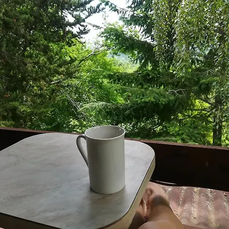 Hébergement de vacances Aliva Tsarévo